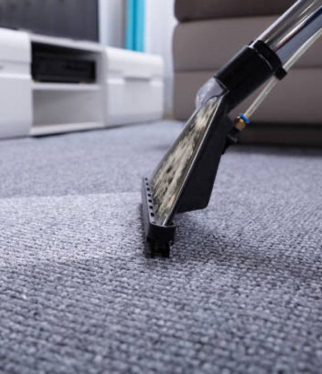 Premier Carpet Care team at work